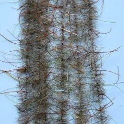 EP WOOLY CRITTER BRUSH -Simms || Patagonia || Hareline Sales 0BU WO SC 1 300x300 1