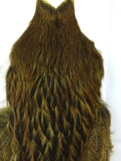 Whiting Brahma Hen SH/C -Simms || Patagonia || Hareline Sales IMG 5487