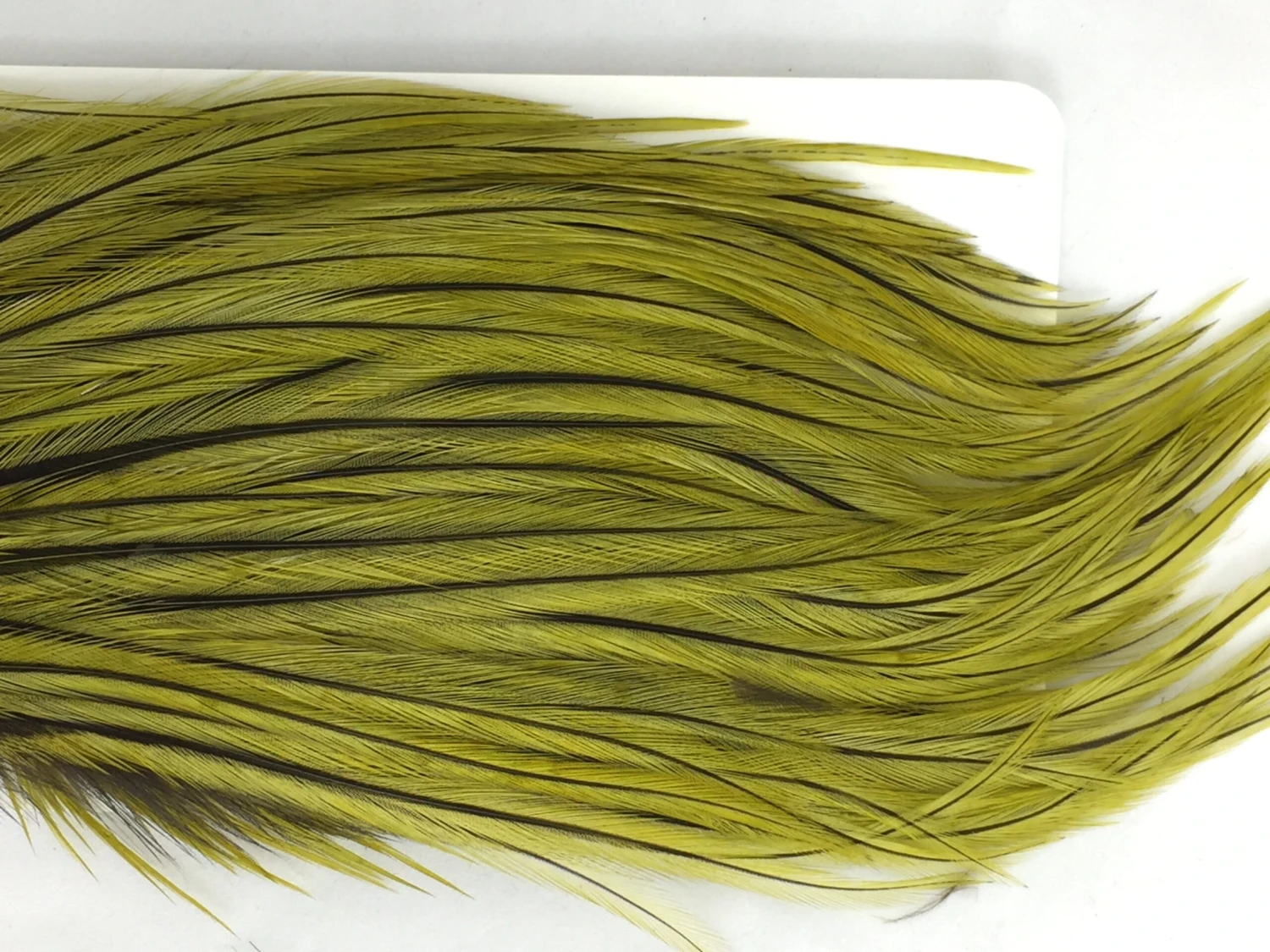 Whiting Bugger Pack 12 Whiting Bugger Pack - Image 10