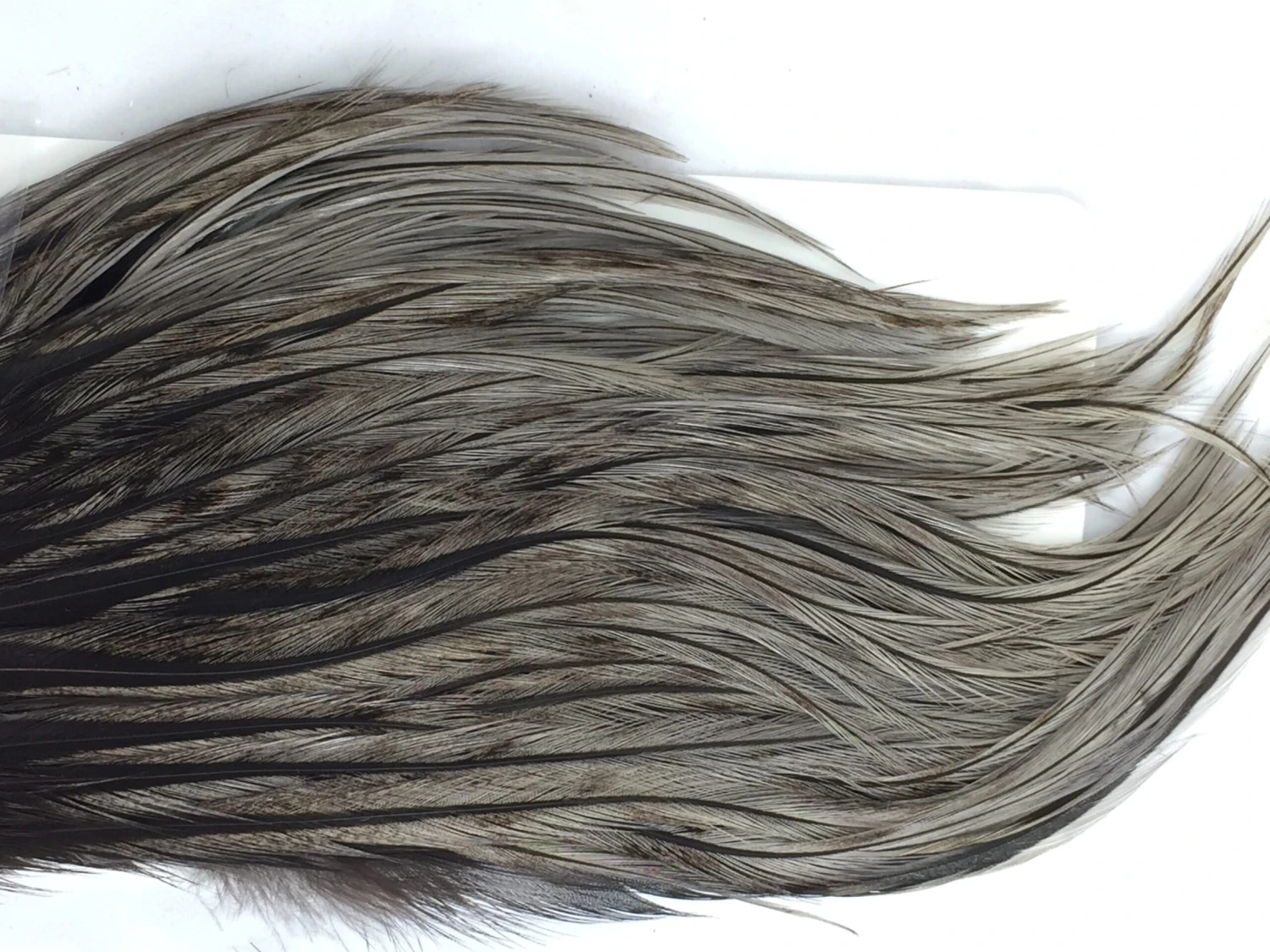 Whiting Bugger Pack 14 Whiting Bugger Pack - Image 12