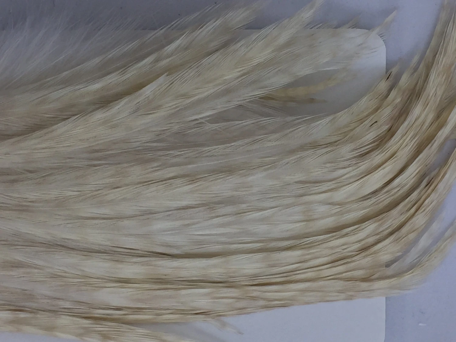 Whiting Bugger Pack 19 Whiting Bugger Pack - Image 17