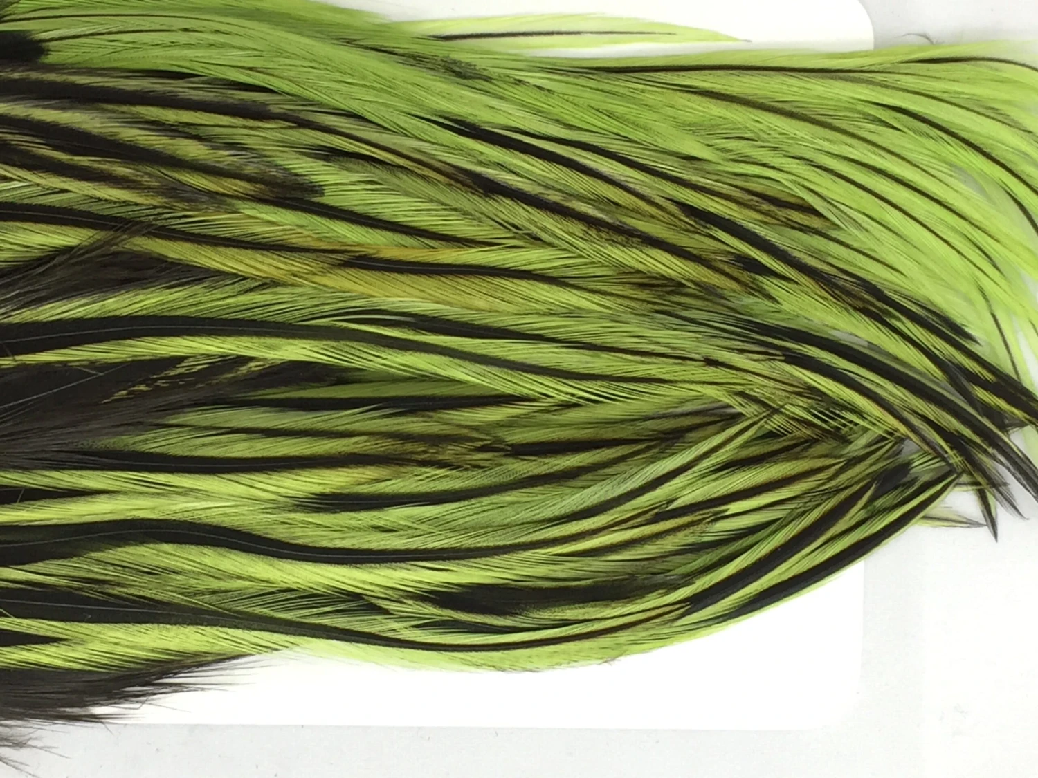 Whiting Bugger Pack 16 Whiting Bugger Pack - Image 14