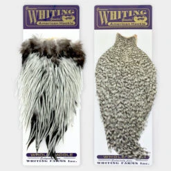 Whiting American Rooster Cape
