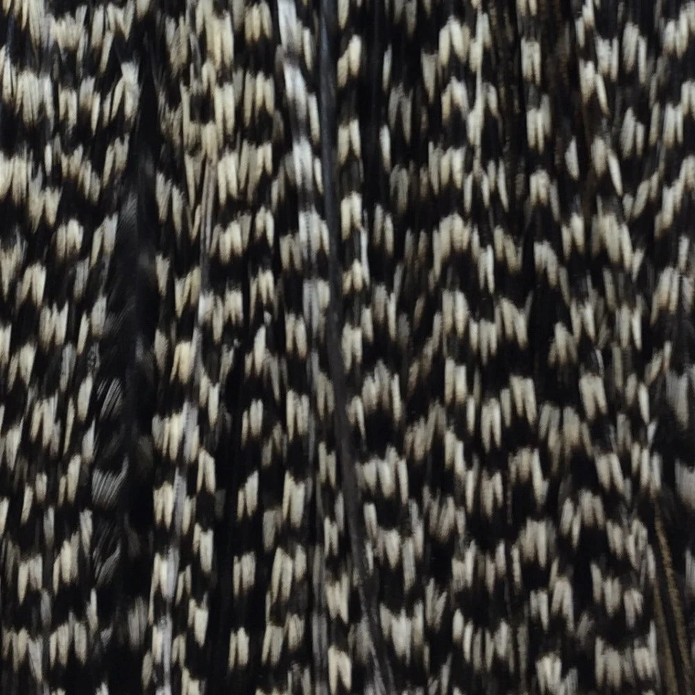 Whiting 100 Pack Size 10 4 Whiting 100 Pack Size 10 - Image 2