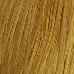 Whiting 100 Pack Size 10 16 Whiting 100 Pack Size 10 -Simms || Patagonia || Hareline Sales white dye golden straw